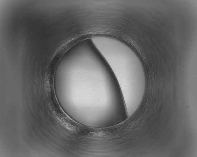 X0000084000688200702160757