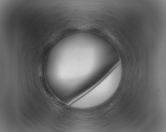 X0000084000689200702160757