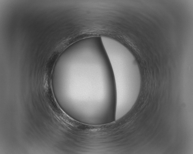 X0000084000692200702160757