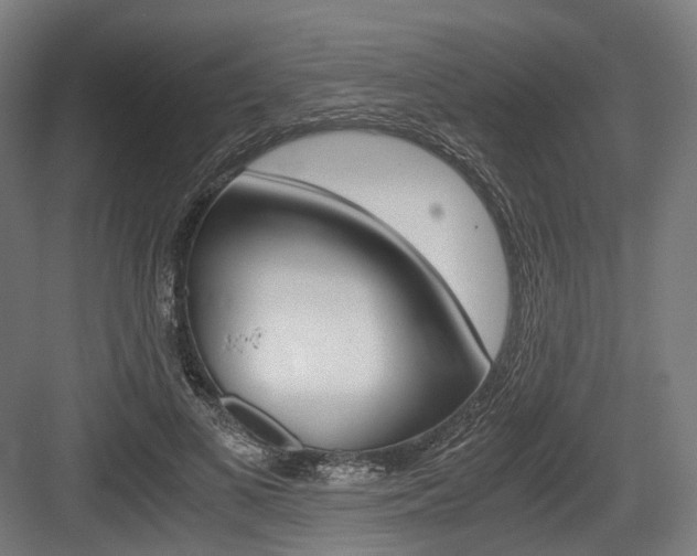 X0000084000693200702160757