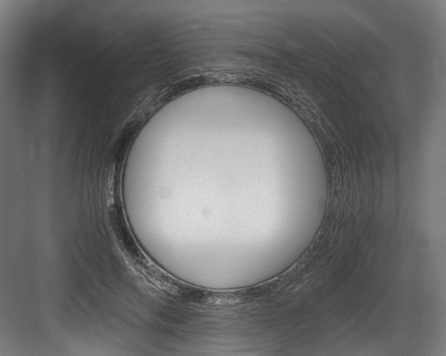 X0000084000694200702160757