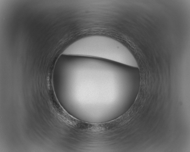 X0000084000696200702160757