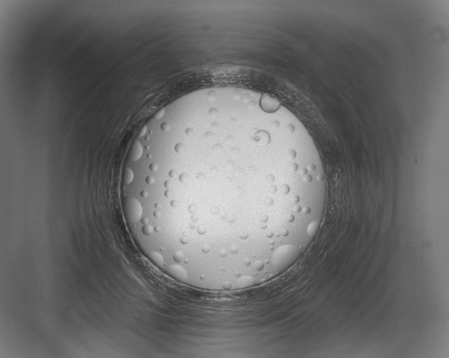 X0000084000698200702160757