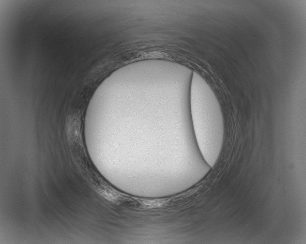 X0000084000701200702160757