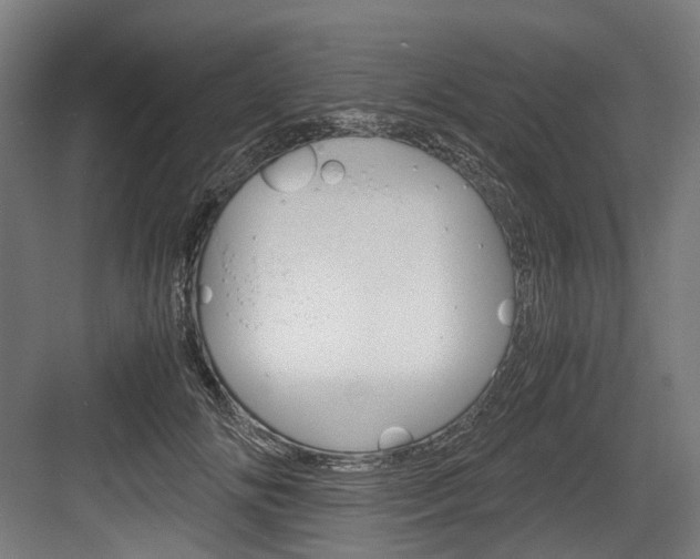 X0000084000702200702160757
