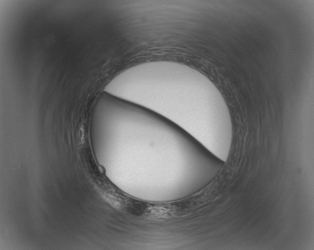 X0000084000703200702160757