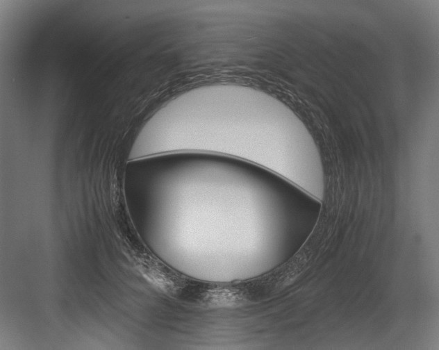 X0000084000704200702160757