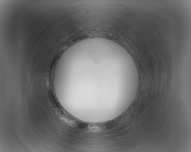 X0000084000706200702160756