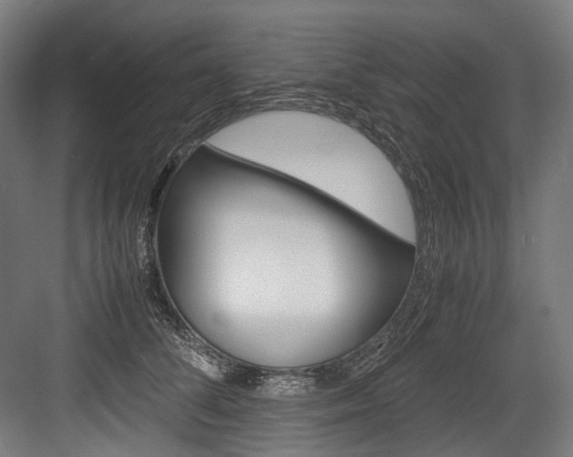 X0000084000708200702160756