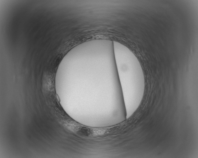 X0000084000709200702160756