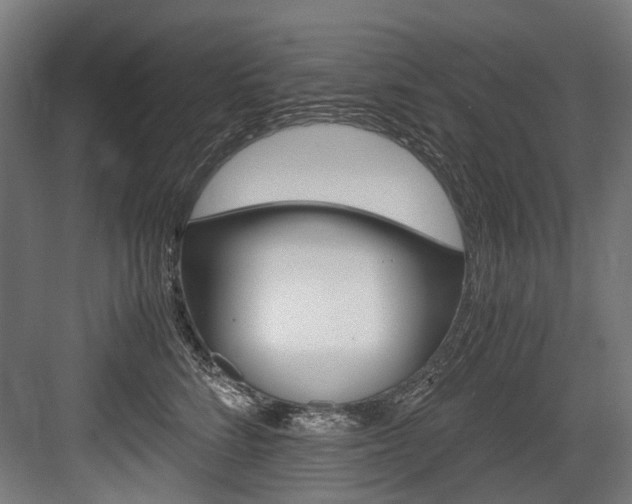 X0000084000712200702160756