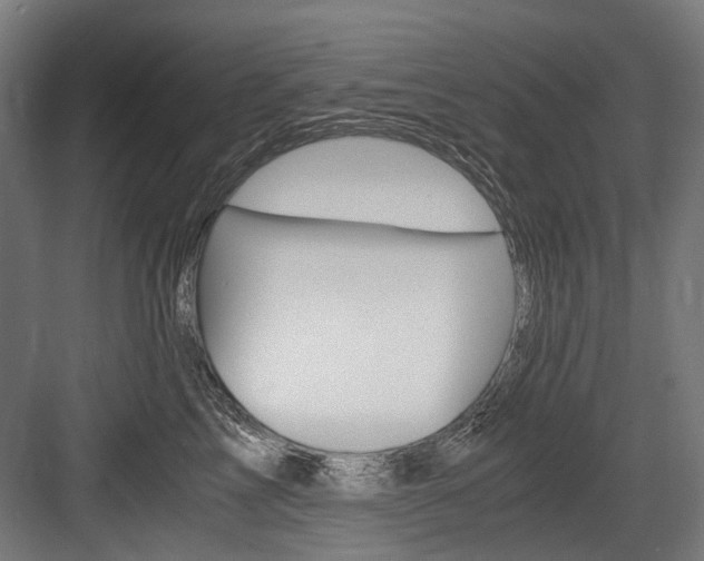 X0000084000713200702160756