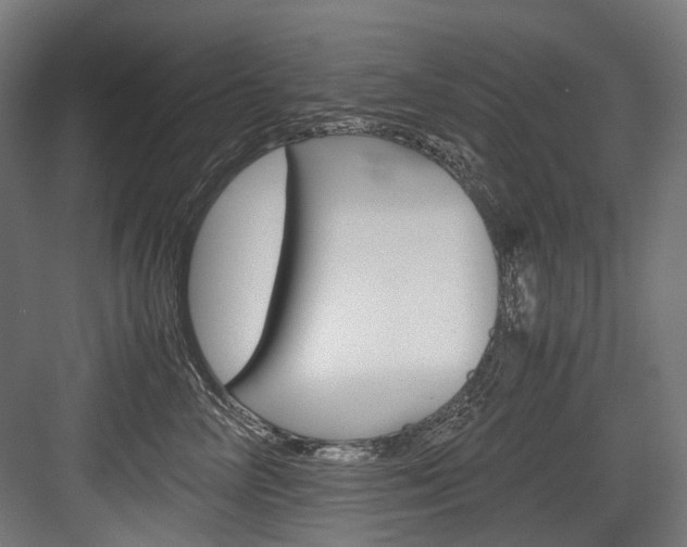 X0000084000714200702160756