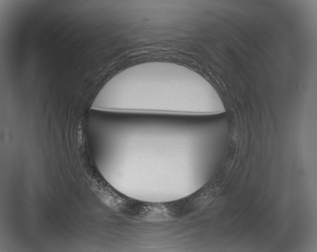 X0000084000715200702160756