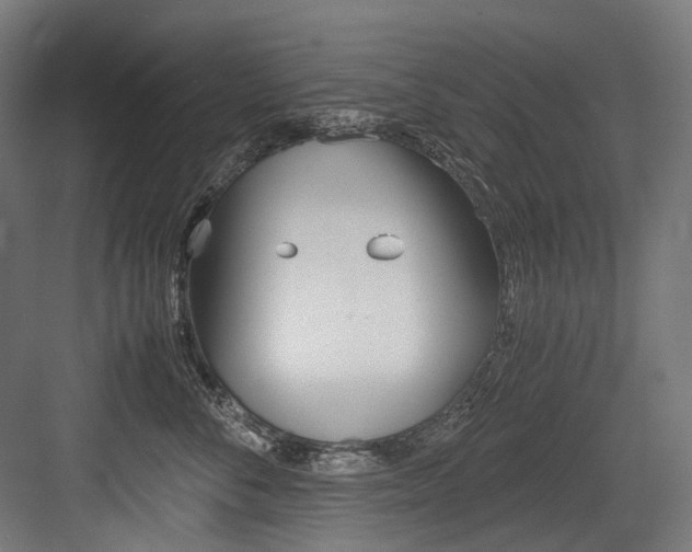 X0000084000716200702160756