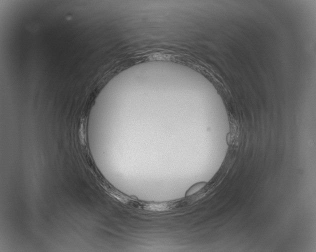X0000084000717200702160756
