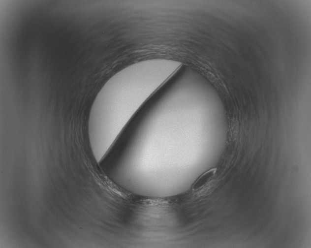 X0000084000719200702160756