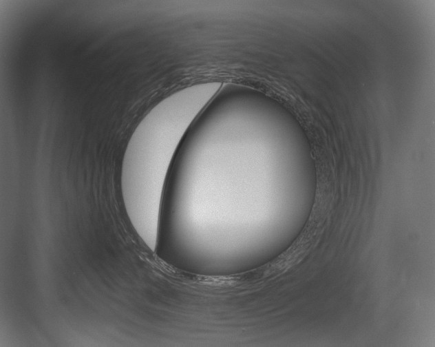 X0000084000720200702160756