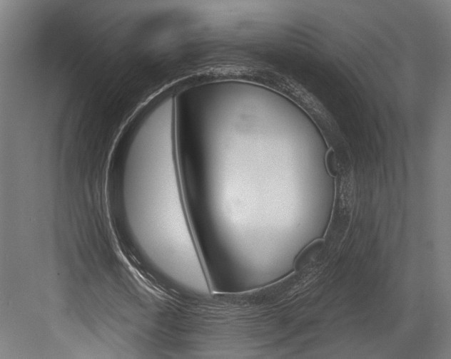 X0000084000722200702160755