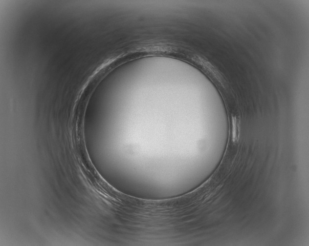 X0000084000723200702160755