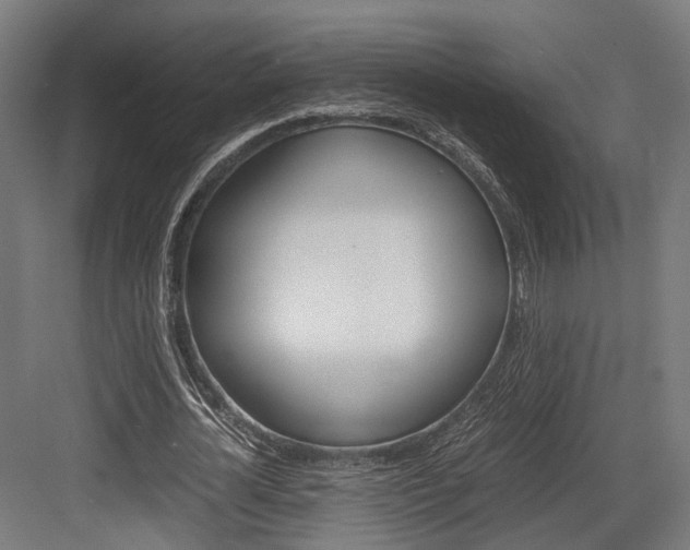 X0000084000724200702160756