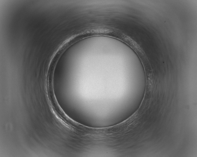 X0000084000726200702160756