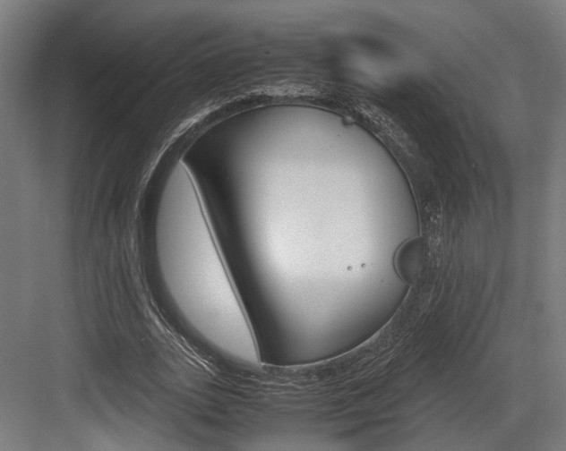 X0000084000727200702160756