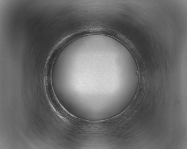 X0000084000728200702160756