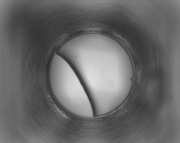 X0000084000729200702160756