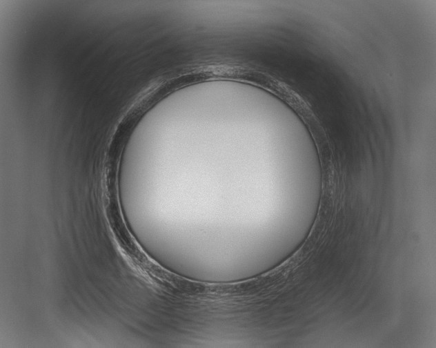 X0000084000730200702160756