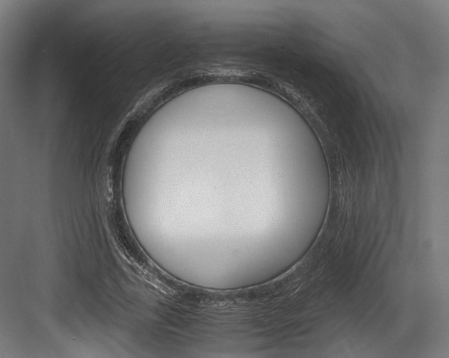 X0000084000731200702160756