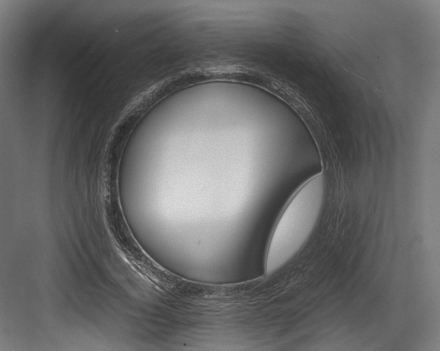 X0000084000732200702160756