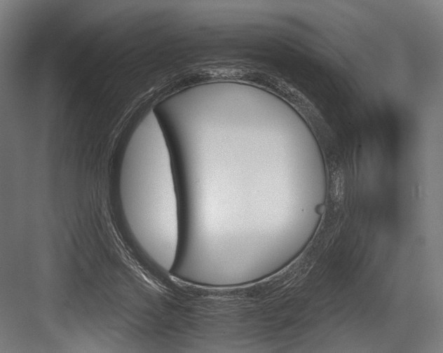 X0000084000733200702160756