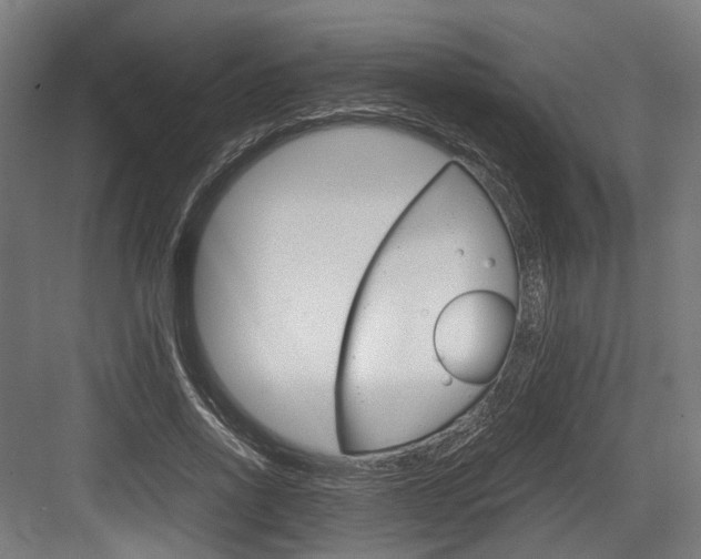 X0000084000734200702160756