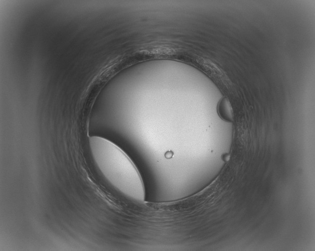 X0000084000735200702160756