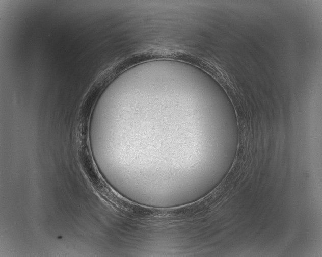 X0000084000736200702160756