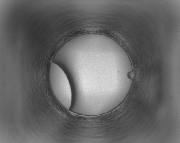 X0000084000737200702160756