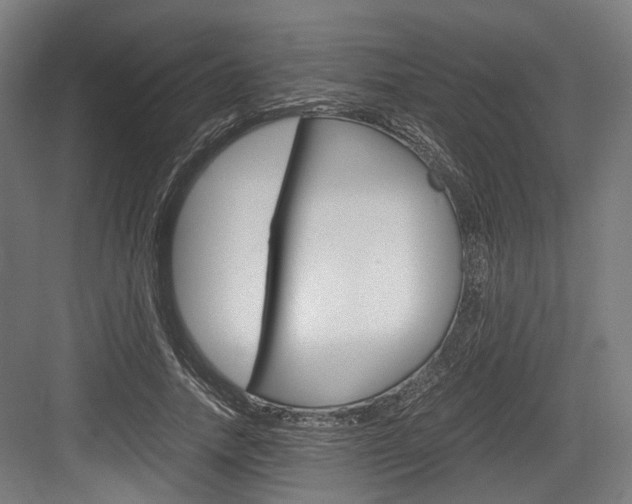 X0000084000738200702160756