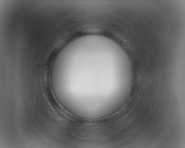 X0000084000739200702160756