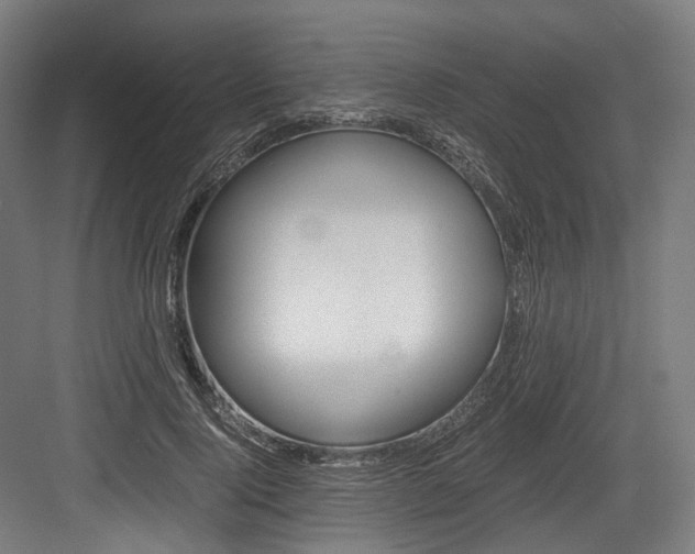 X0000084000740200702160756