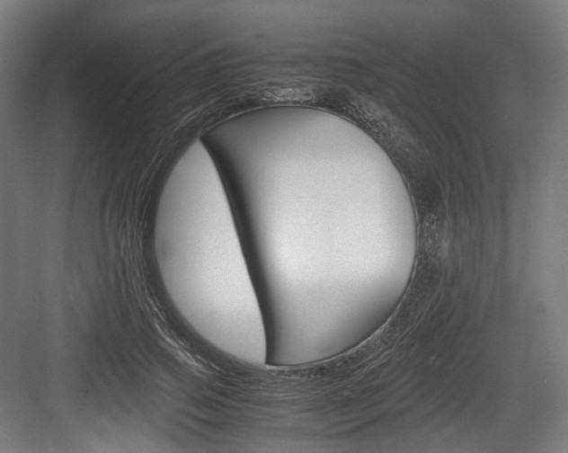 X0000084000741200702160756