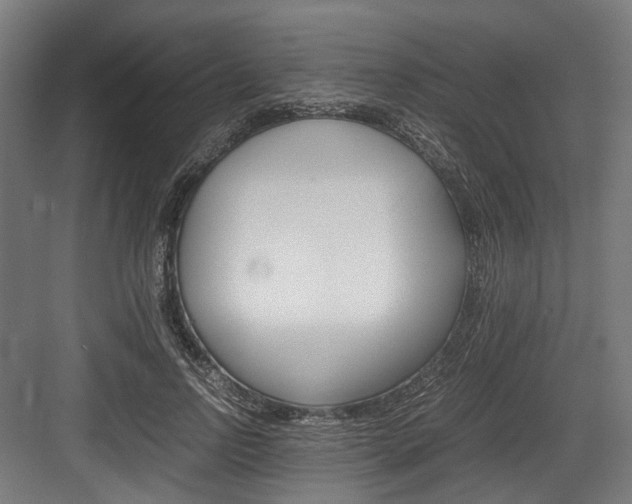 X0000084000742200702160756