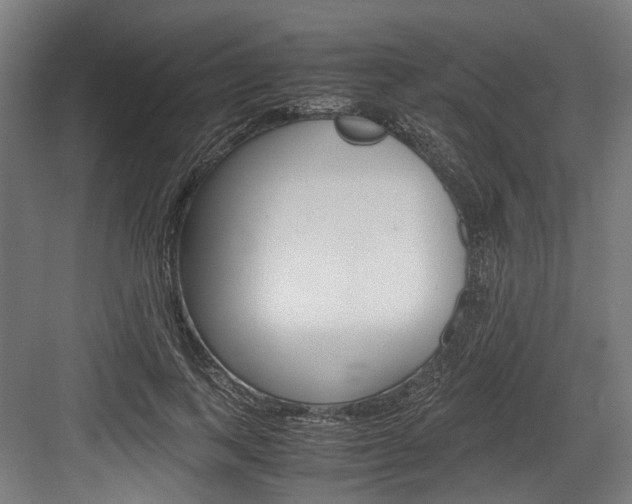 X0000084000743200702160756