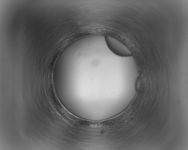 X0000084000744200702160756