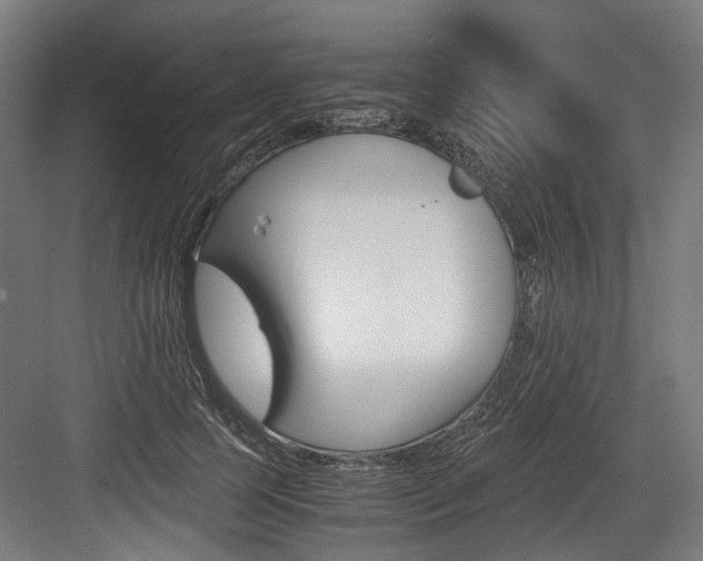 X0000084000745200702160756