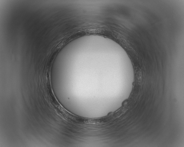X0000084000746200702160756