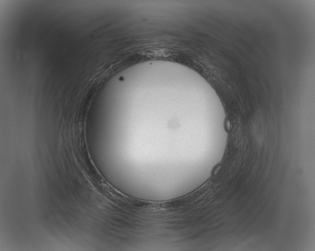 X0000084000747200702160756