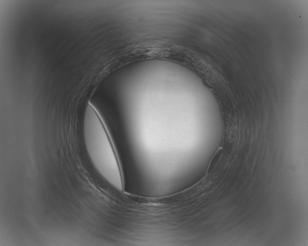 X0000084000748200702160756