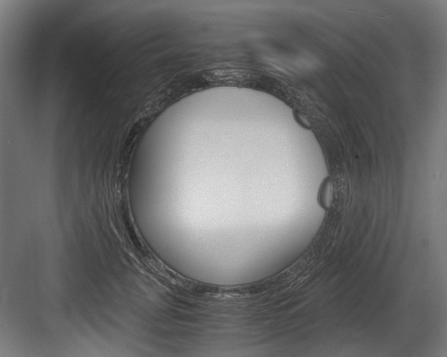 X0000084000751200702160756