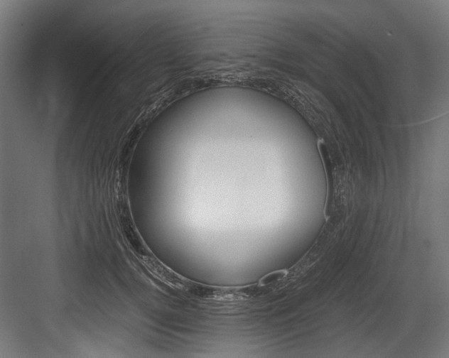 X0000084000752200702160756